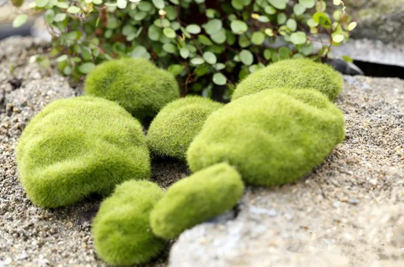 DIY мини микро пейзаж искусственный газон домашний декор миниатюрное украшение