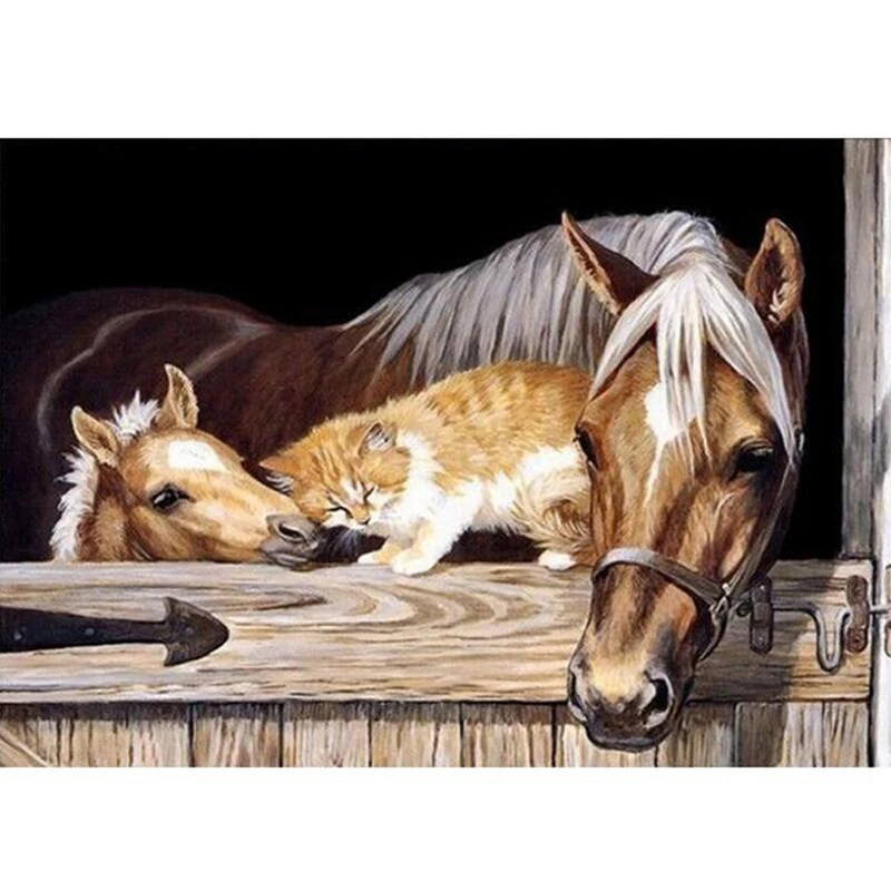 Алмазная картина 5D милый котенок лошадь круг поучительная вышивка крестиком DIY