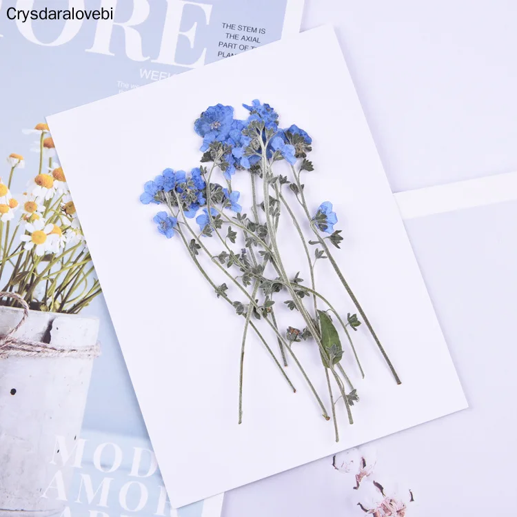 

100 шт натуральные прессованные забудьте-не цветы со стеблем настоящие сухие цветы на приглашение на свадьбу сделай сам Ремесло закладки под...