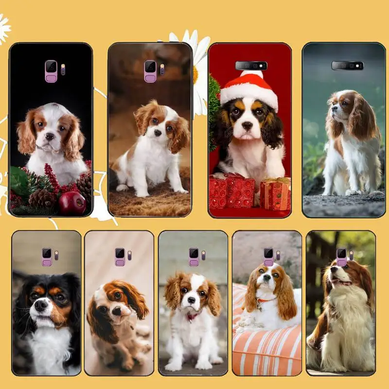 

Charles Spaniel Dog cute animal Phone Case For Samsung galaxy A S note 10 7 8 9 20 30 31 40 50 51 70 71 21 s ultra plus