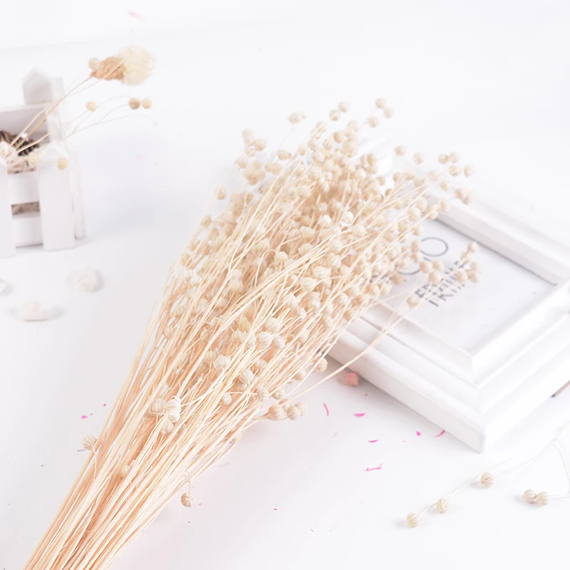 60 г/букет цветок русалки сушеная Акация искусственный ручной работы свадебный