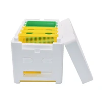 bee hive mini mating box removable feeder mating beehive with plastic frames beekeeping pollination box nuc beehive