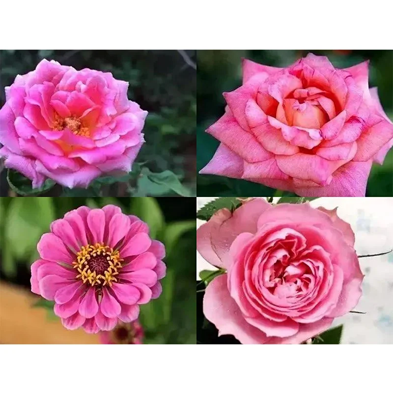 

Diamond Painting 5D Diamonds DIY Flower Cross Stitch Full Square Drill Embroidery Colorful Handmade Home Room Wall Decor