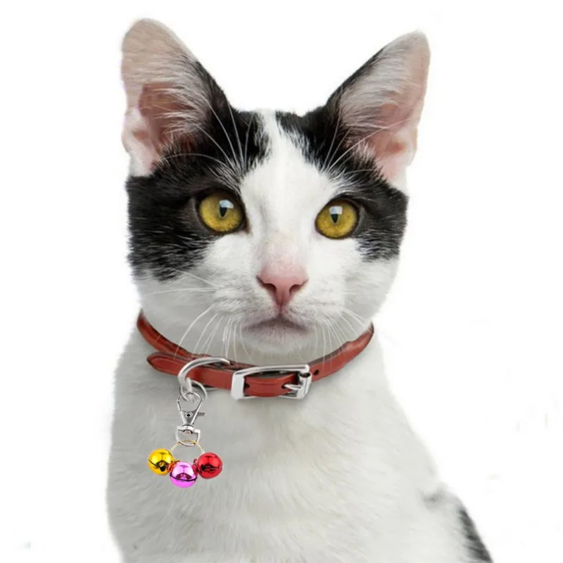

Pet Collar Necklace Multicolor Small Bells Mix Colors Copper Bell Pendants Jewelry For Cat Ornament Accessories