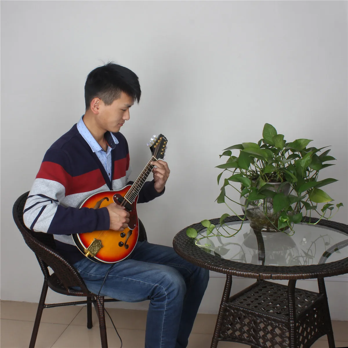

8 String Electric Mandolin with Bag 3M Cable Strings Picks A Style Rosewood Fingerboard Adjustable String Instrument