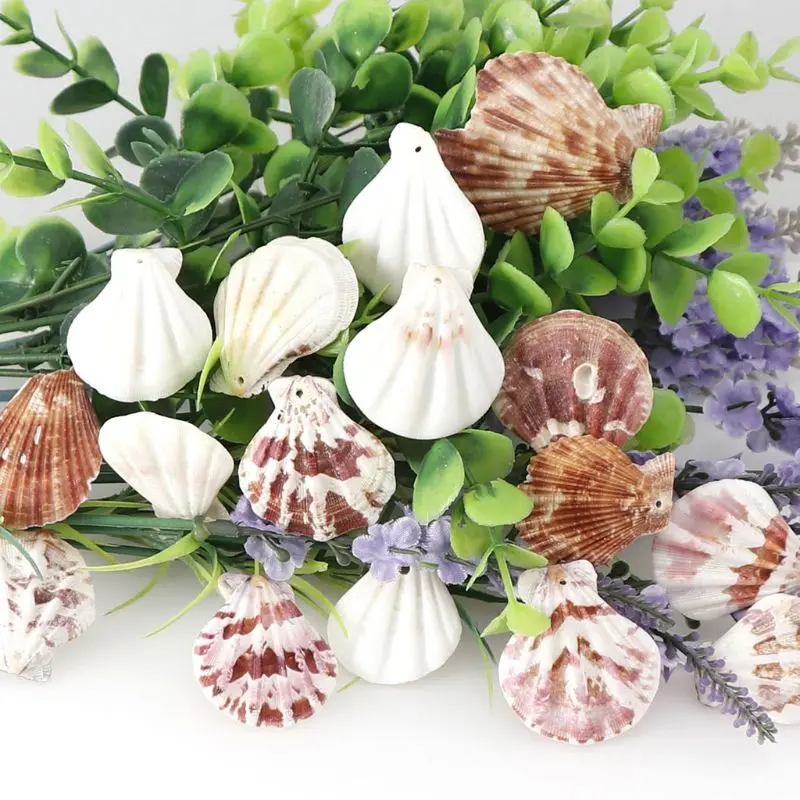 

120Pcs Mixed Colorful Scallop Shell Natural Seashell from Sea Beach Large Shell With Holes for DIY Art Craft Decor