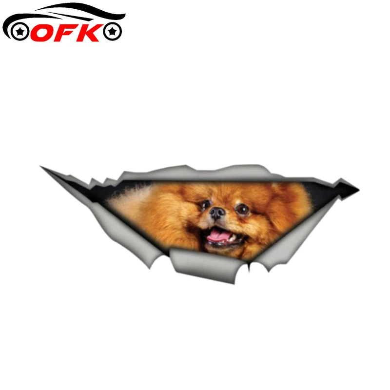 

Pomeranian Lovely Car Sticker Personality Sunscreen Decal Laptop Motorcycle Auto Accessories Decoration PVC,13cm*4cm