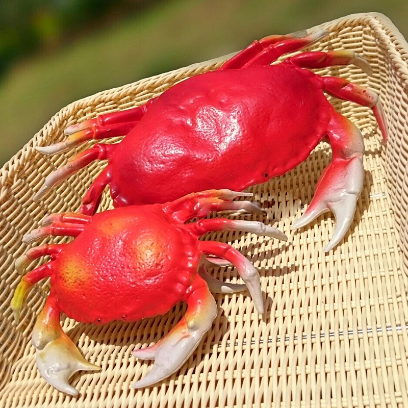 Моделирование животных Краб поддельные Омары раннее образование модель