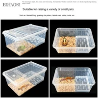 reptile feeding box amphibious feeding box palace guard ciliary horn spider insect turtle player snake anti escape ant farm