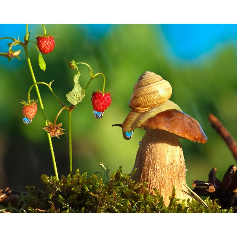 Полноразмерная Алмазная картина сделай сам вышивка крестиком животные улитка