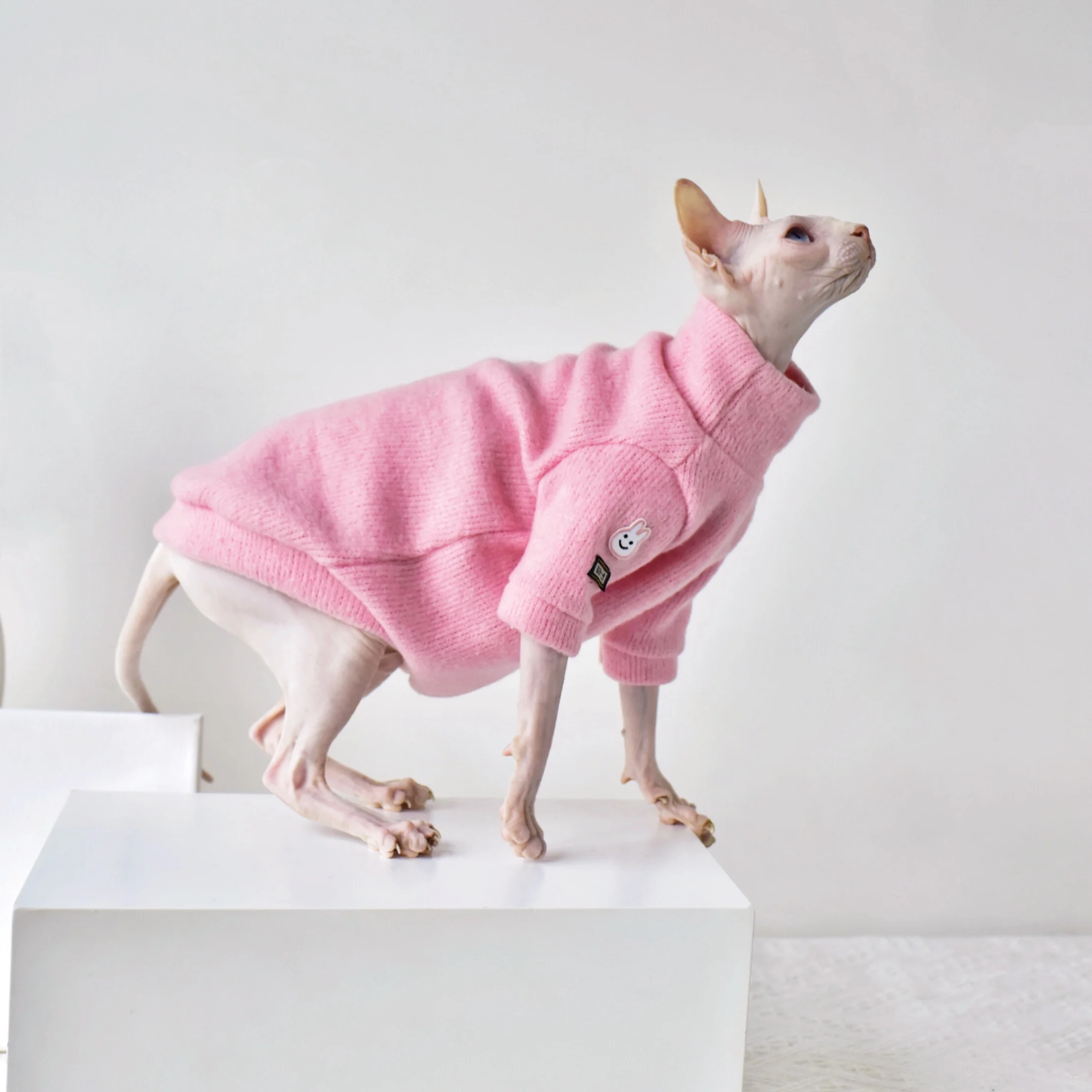 Pink Fashion Hairless clothing  Kitty Autumn Winter Kitty Costume Pet Apparel Outftis Sphinx Clothes for  Sphynx cat clothes