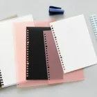 2 листа A5B5 блокнот, папка для страниц, разноцветные ПП чехлы с листьями, 26 дюймов, 20 отверстий, аксессуары для разделения искусственных страниц