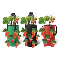 strawberry growing bag wall hanging planter tnt vertical fabric flower bag vegetables potatoes plant pot greenhouse garden tools