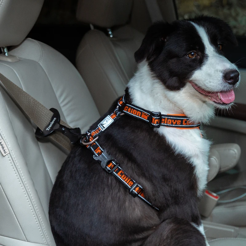 Truelove Pet All Car Seat Belt Safety Buckle with Collar or Harness High-quality Lightweight Aluminium Alloy Portable TLM1991