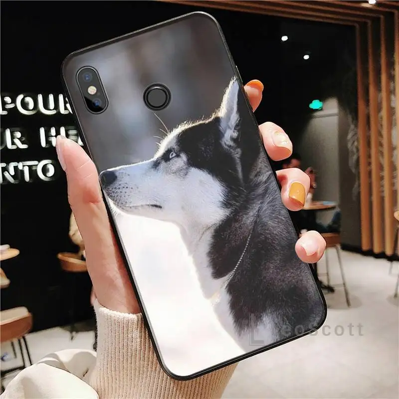 

Husky Dog Phone Case For Xiaomi Redmi note 4 4X 8T 9 9s 10 K20 K30 cc9 9t pro lite max