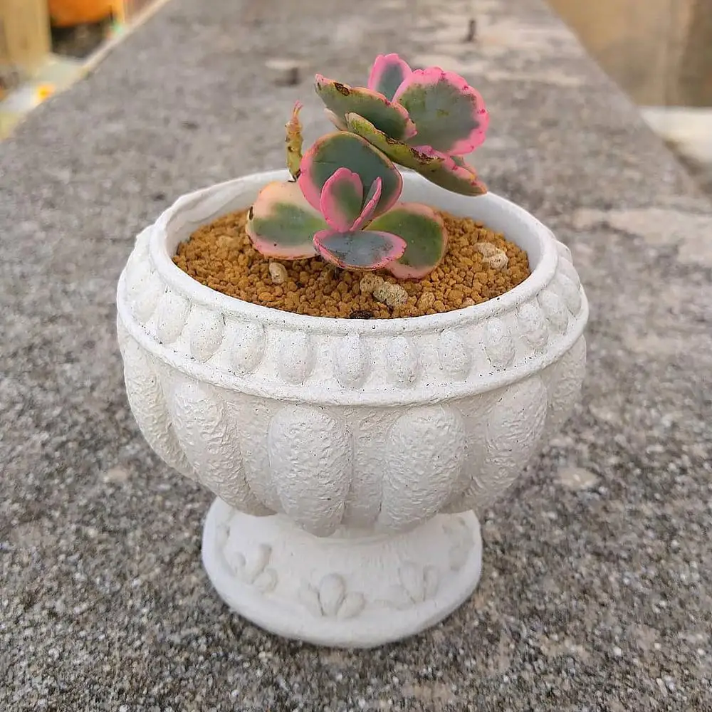 Европейские формы для горшков бетонных плантаторов римская колонна