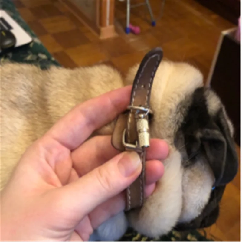 

Pet Flying Discs EVA Dog Training Ring Puller Resistant Bite Floating Toy Puppy Outdoor Interactive Game Playing Products Supply