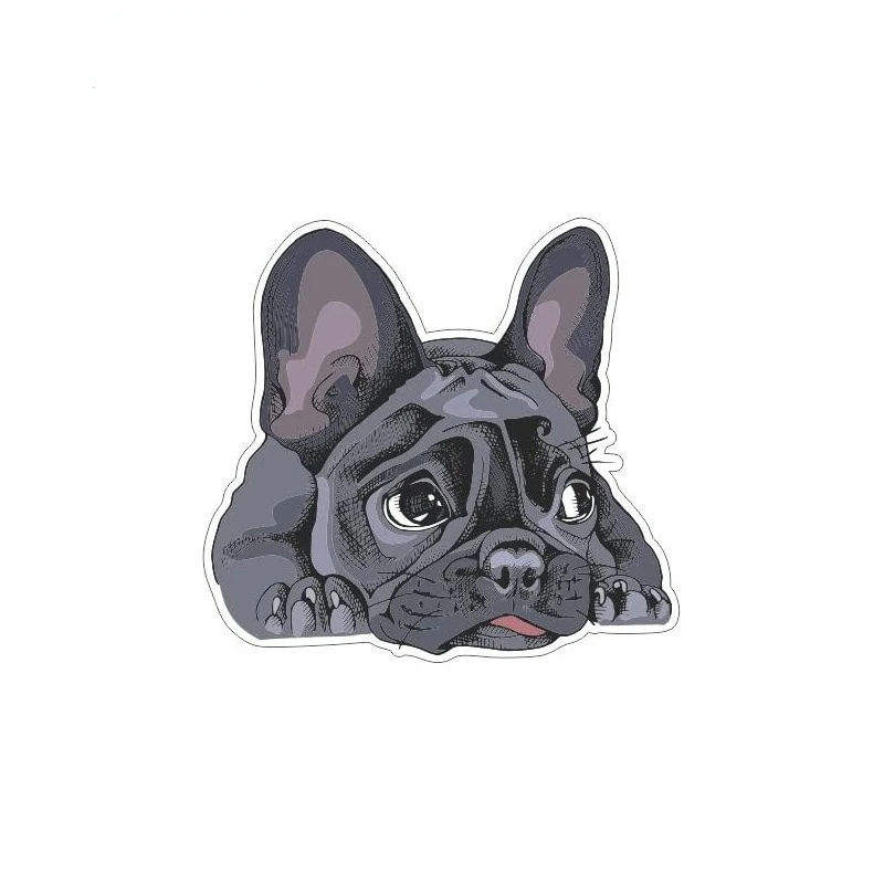 

French Bulldog Pattern Anime Car Sticker Decal Decor for Motorcycle Off-road Laptop Helmet Trunk Car Decals