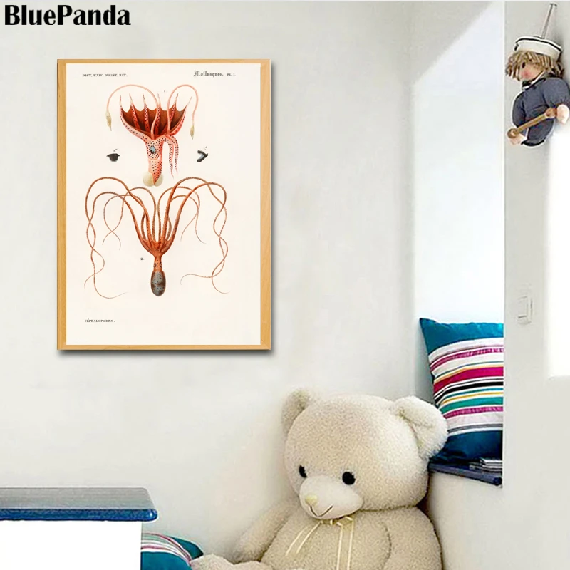 Животные кальмары картинки на стене художественные принты Скандинавская