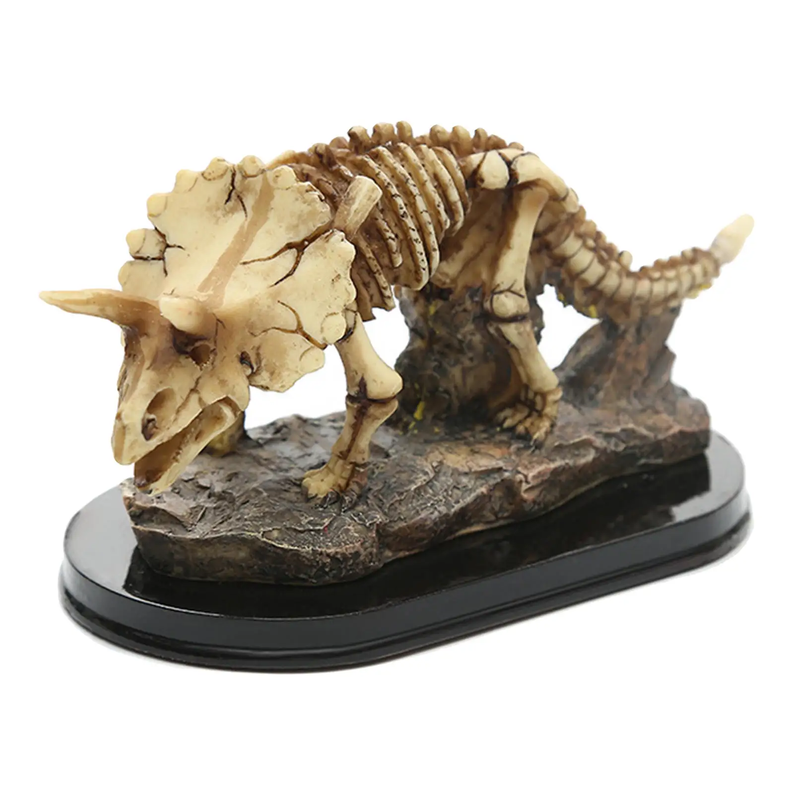 

Dinosaur Skeleton Dinosaur Model for Laboratory Living Room Children