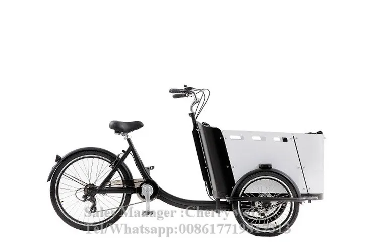 250 Вт электрическая педаль детский грузовой велосипед трехколесный akfiets