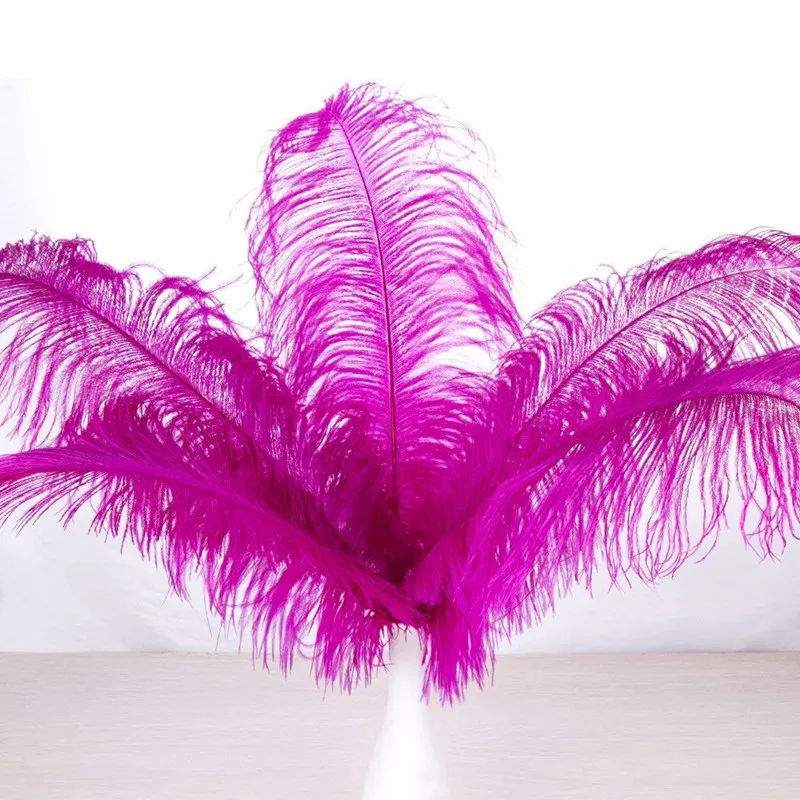 10pcs/lot 15-70CM Rose Red Ostrich Feather Costume Wedding Decoration Feathers Supplies Carnival Dancer Plumage | Дом и сад