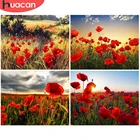 HUACAN живопись по номеру Poppy цветочные наборы для взрослых ручная роспись на холсте DIY раскраска по номеру море цветов домашний декор