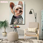 5D алмазная живопись сделай сам, животное, собака, йоркширский терьер, полная квадратная круглая Алмазная вышивка стразы, мозаика для вышивки крестиком