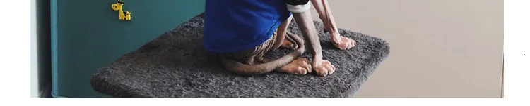 Одежда для кошек со сфинксом, зимняя одежда для животных, свитер для собаки, чихуахуа, йоркширского терьера