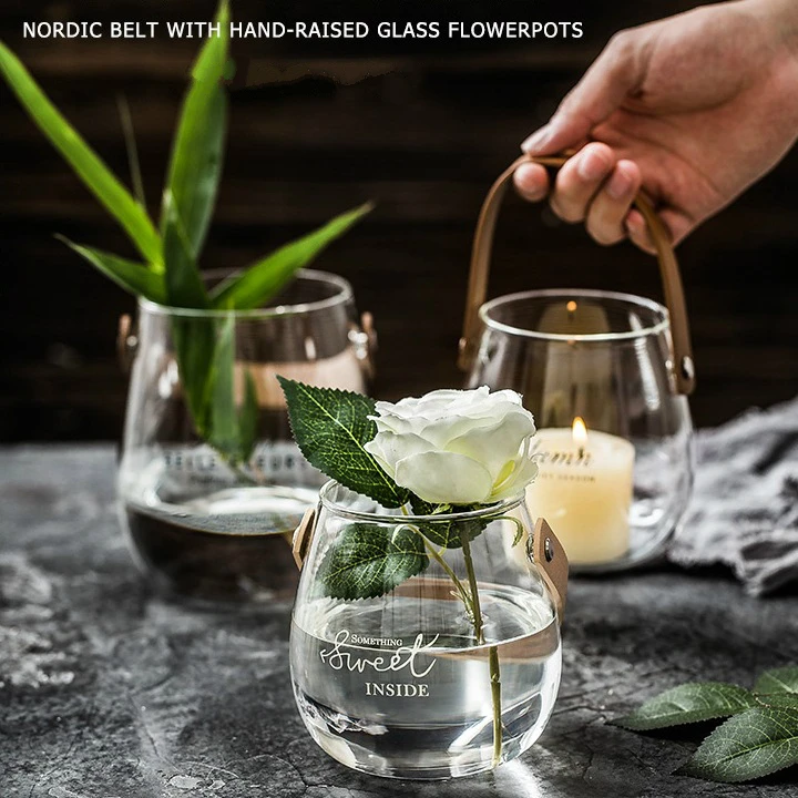 Нордическая креативная стеклянная ваза портативная простая Цветочная