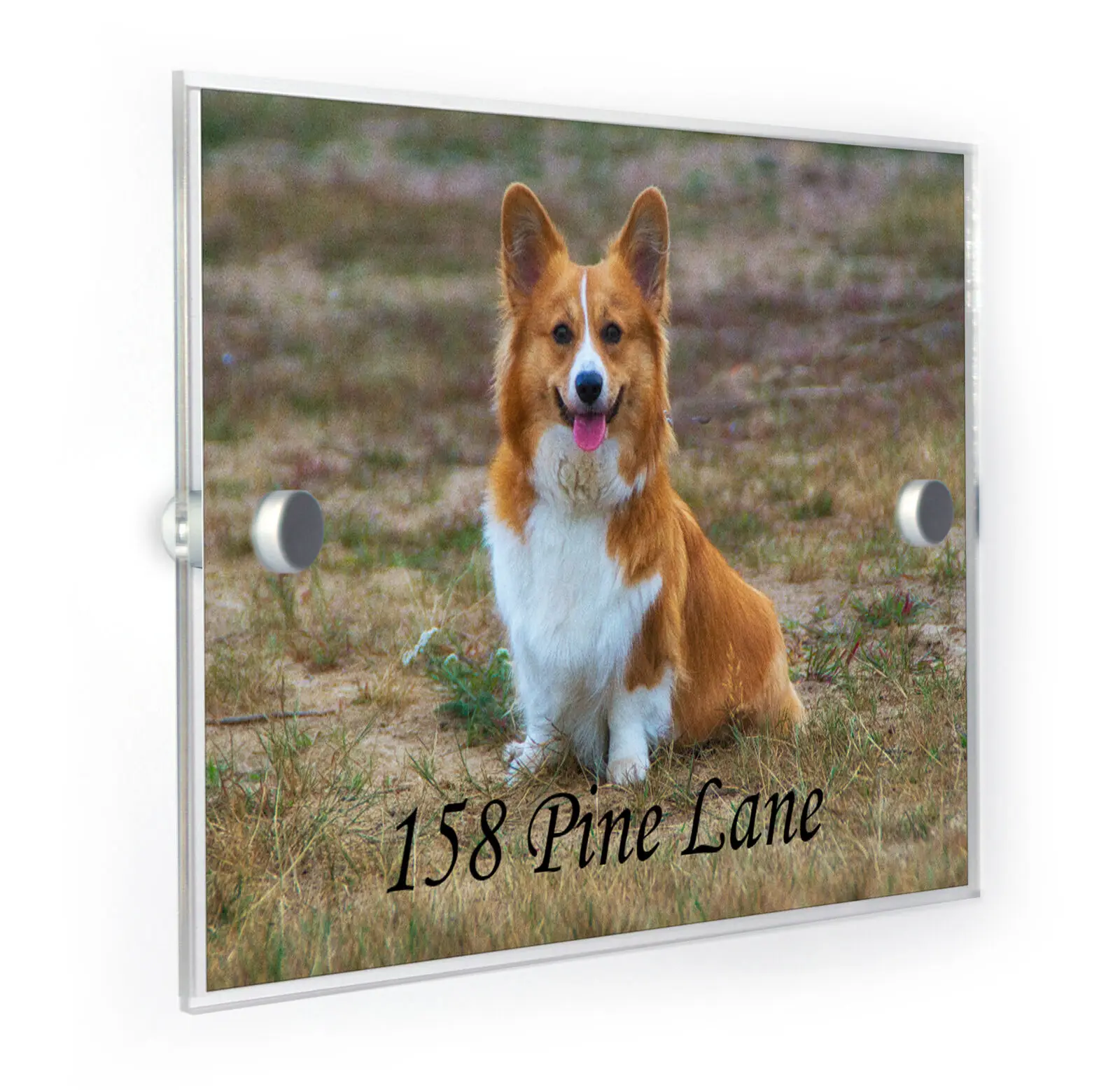 

Персонализированный дом с цифрами корги «сделай сам» в современном стиле