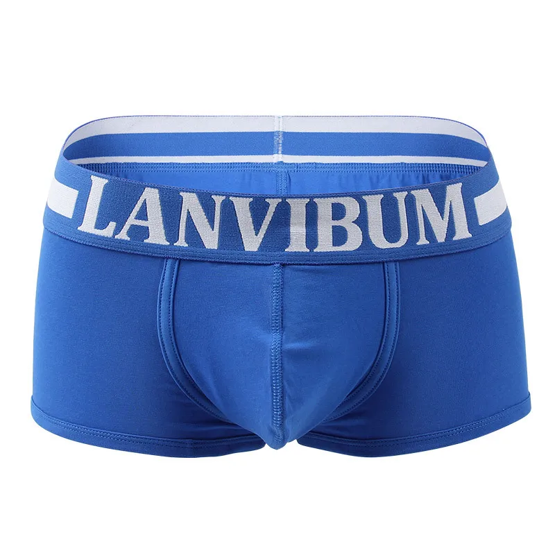 

12Pcs New Brand Boxers Men Fashion U Convex Underwear Men Boxers Panties Comfortable Cotton Sexy Men Underwear