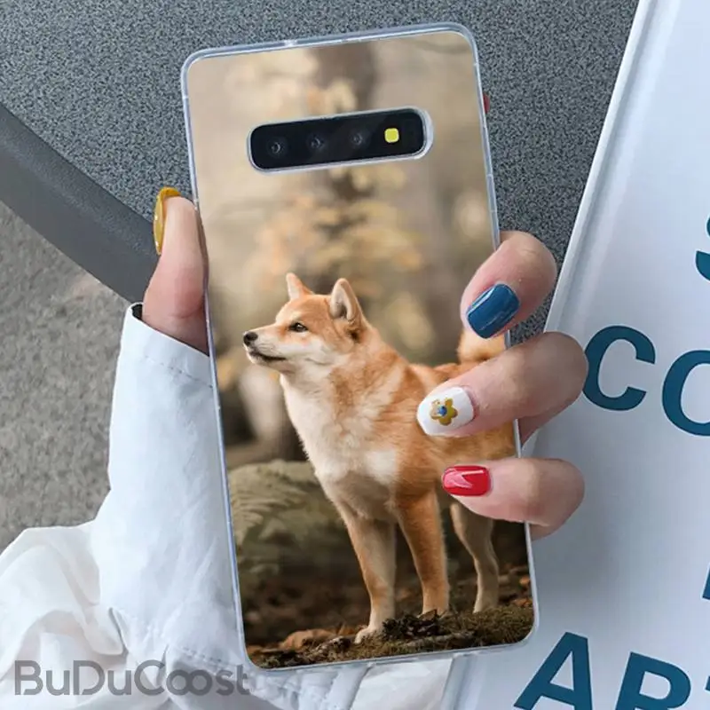Riccu чехол для телефона с изображением животного Шиба-ину Samsung Galaxy S10 Plus S10E S6edge S7edge S8