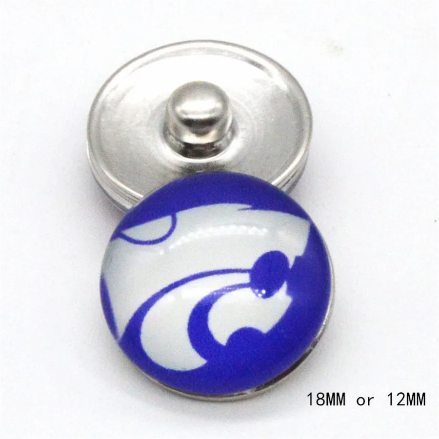 Канзас Государственный Университет Национальная организация студенческого