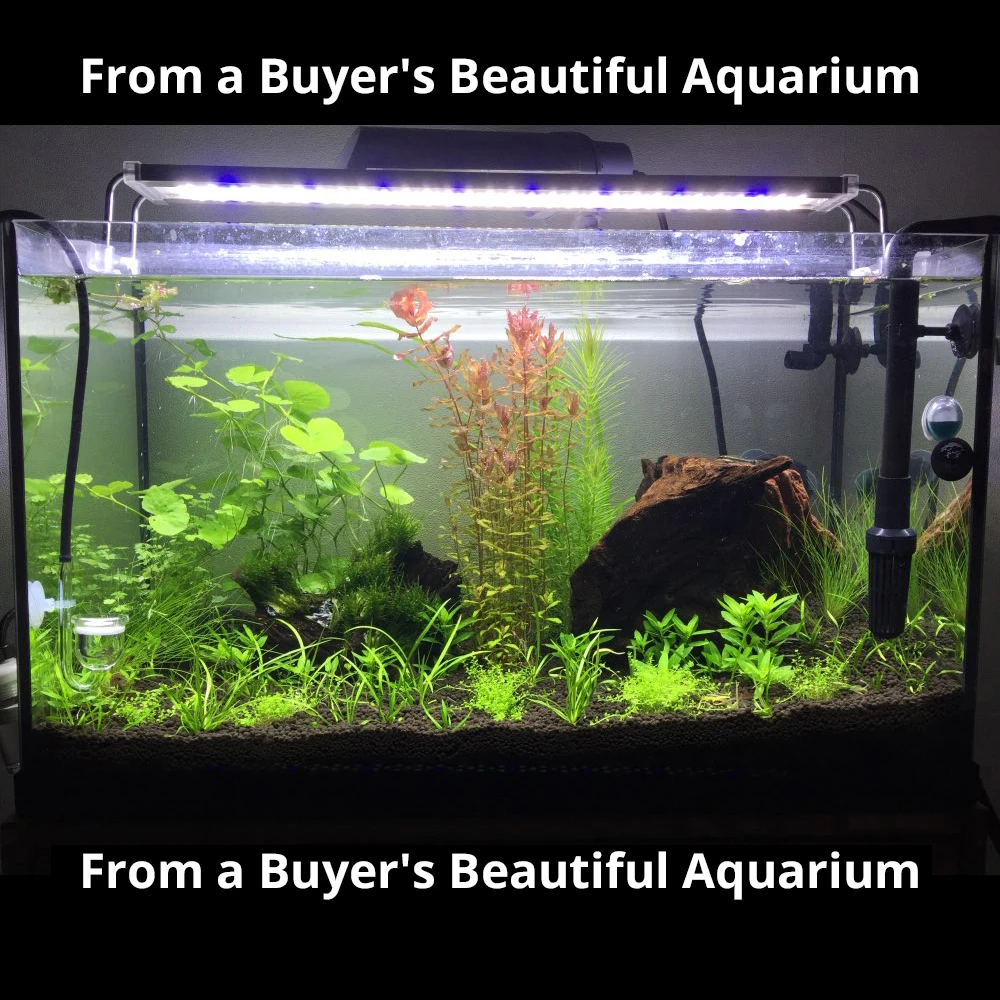 

Aquarium Led Lighting For Aquarium Plant 12w-24w Ultra-Thin Aluminum Alloy Fish Tank Plant Grow Led Lighting 6500-7500k