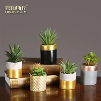 light luxury wind simulation succulent plants small potted living room decoration creative lovely indoor desktop decoration