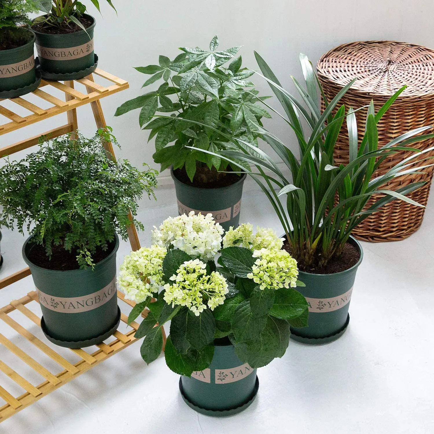 1 Gallon Plastic Garden Fat Pots Yangbaga Durable Nursery Pot Flower Container with pallets | Дом и сад