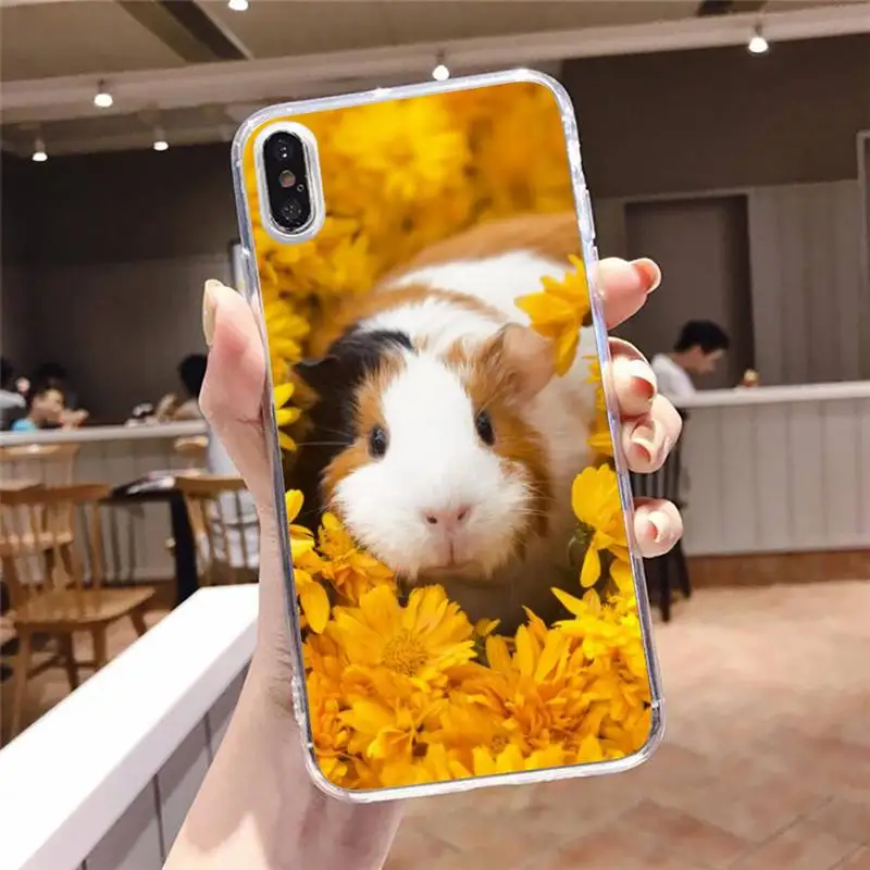 

Guinea Pig cute animal Phone Case Transparent soft For iphone 5 5s 5c se 6 6s 7 8 11 12 plus mini x xs xr pro max