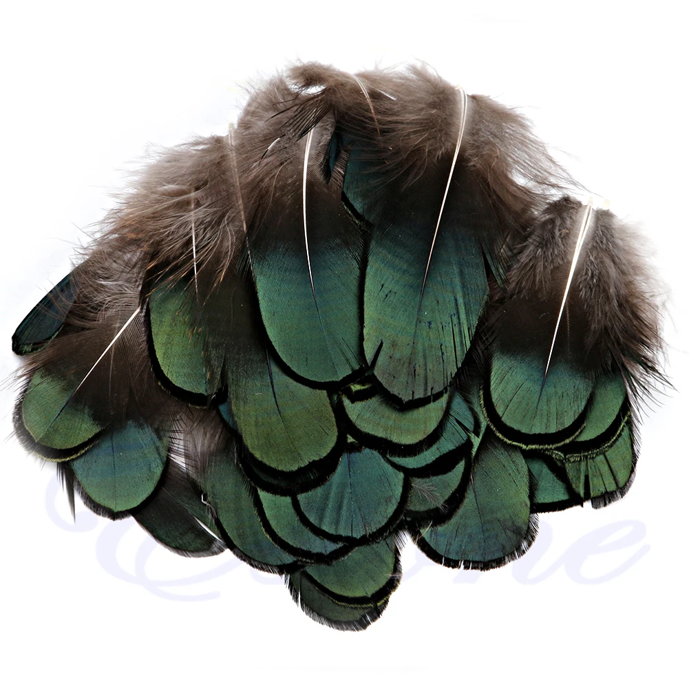 

50Pcs Beautiful Natural Pheasant Feathers for Craft Sewing Millinery Costume DIY