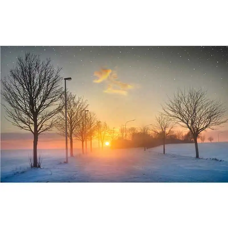 

Winter sunset , DIY Painting By Numbers Animal Acrylic Paint By Numbers For Adults . Wall Art Picture Home Decors,factory Outlet