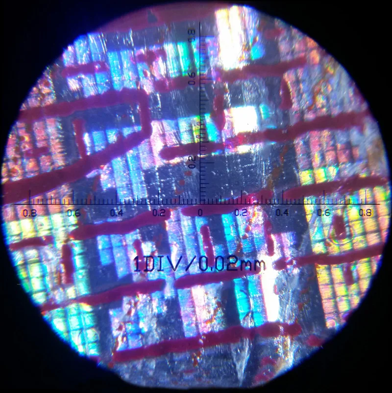 Оптическая линза 100 раз двойная трубка с координатой Портативный микроскоп