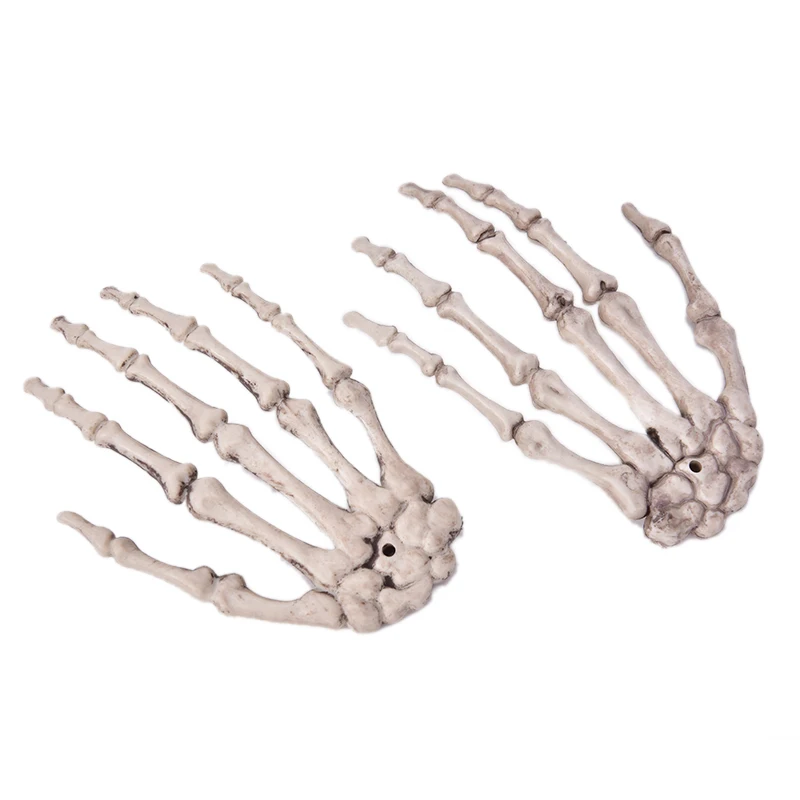 Модель человеческого анатомического костного скелета помощь в обучении