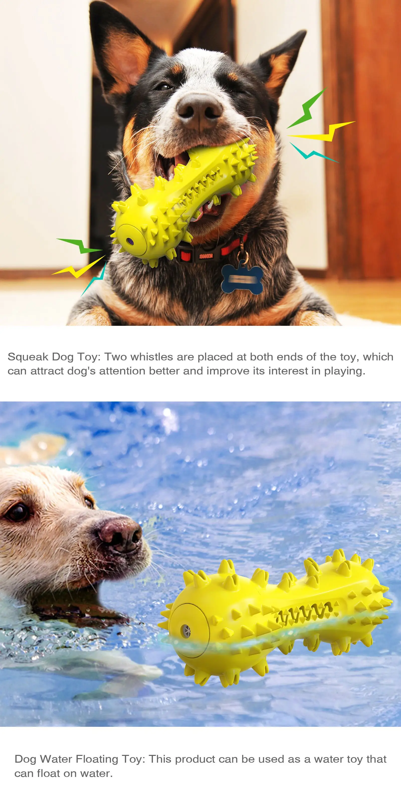 

Hot style dog toy floating on water squeaking teeth grinding dog toys for small dogs