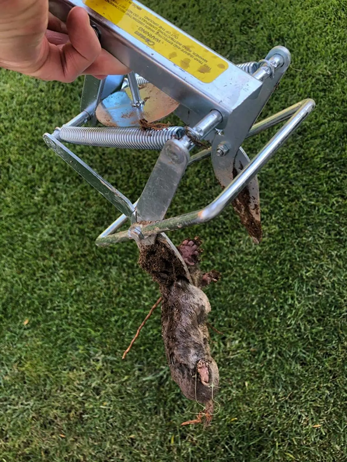 Trampa de topos de &eacute;mbolo, trampa de Gopher reutilizable, r&aacute;pida y limpia, para matar ratones, alvorizado topos de trampa de acero, trampa de tijera Rrabbit, 1-3