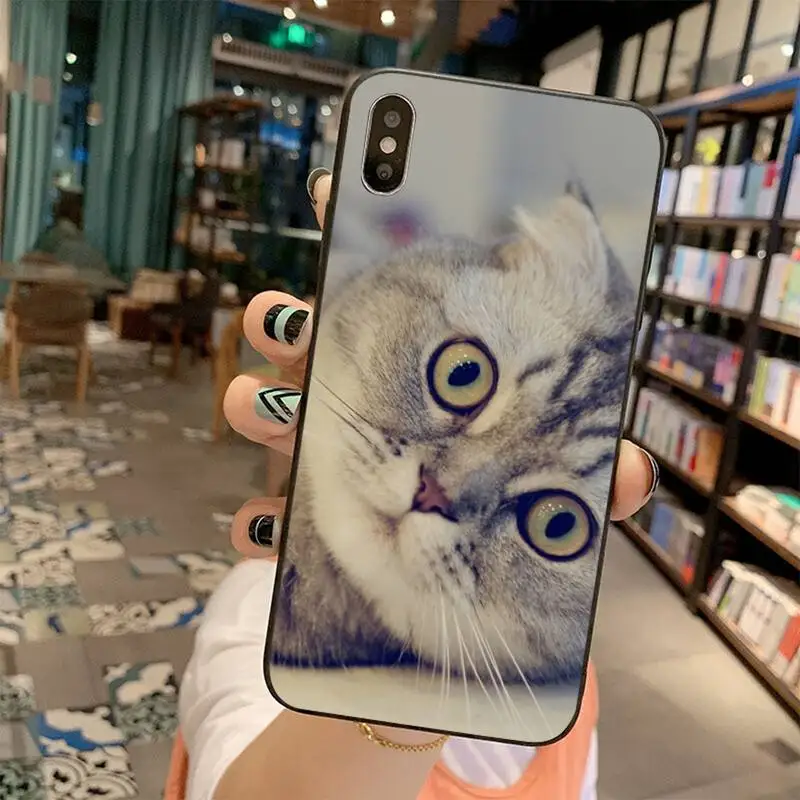 

PENGHUWAN Scottish fold cat Bling Cute Phone Case for iPhone 11 pro XS MAX 8 7 6 6S Plus X 5S SE 2020 XR case