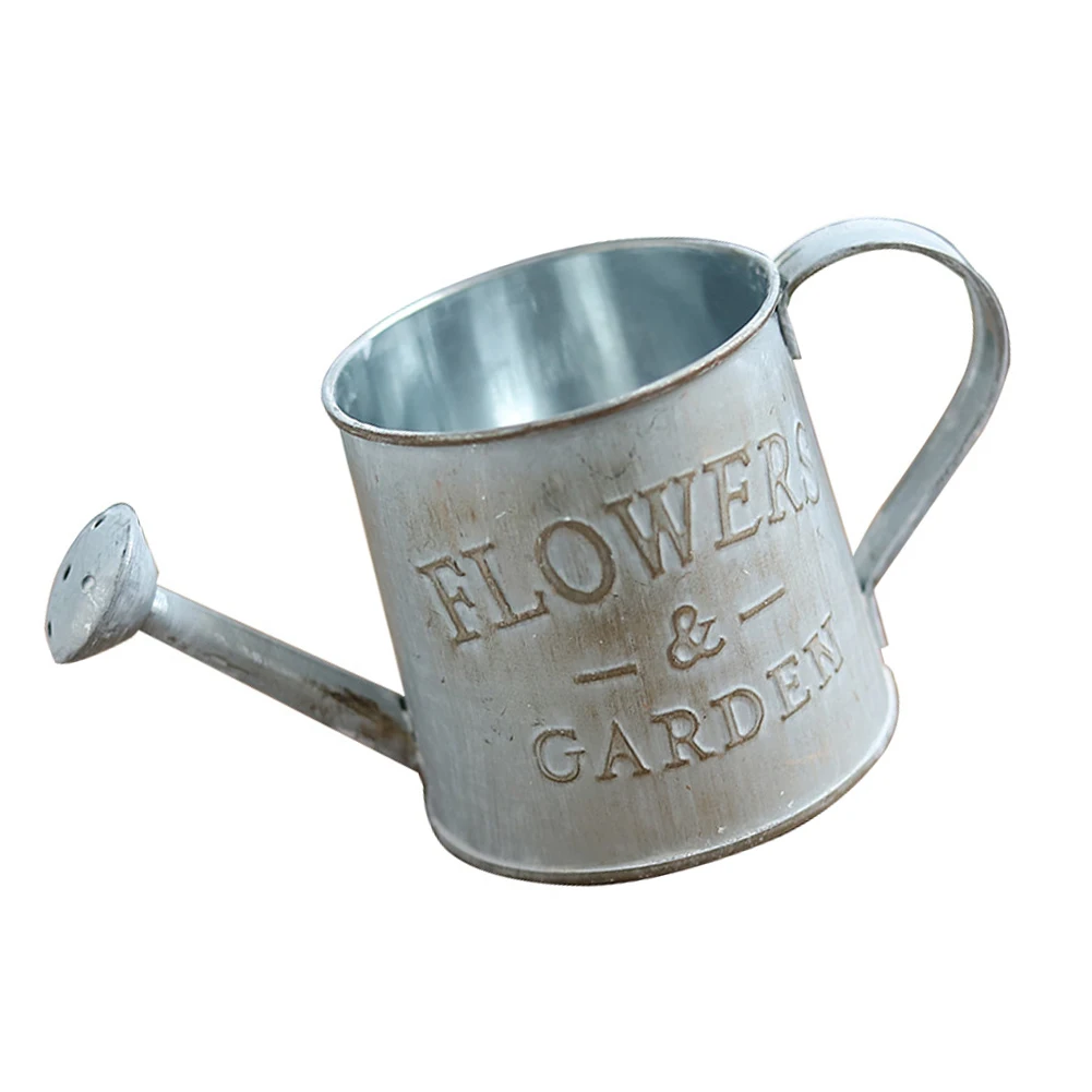 Винтажный цветочный горшок металлический ручной лейки суккулент Плантатор
