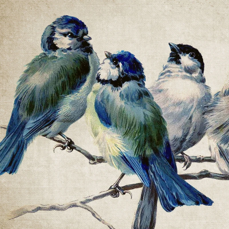 Плакат с голубыми птицами винтажная картина иллюстрацией птиц настенная Картина