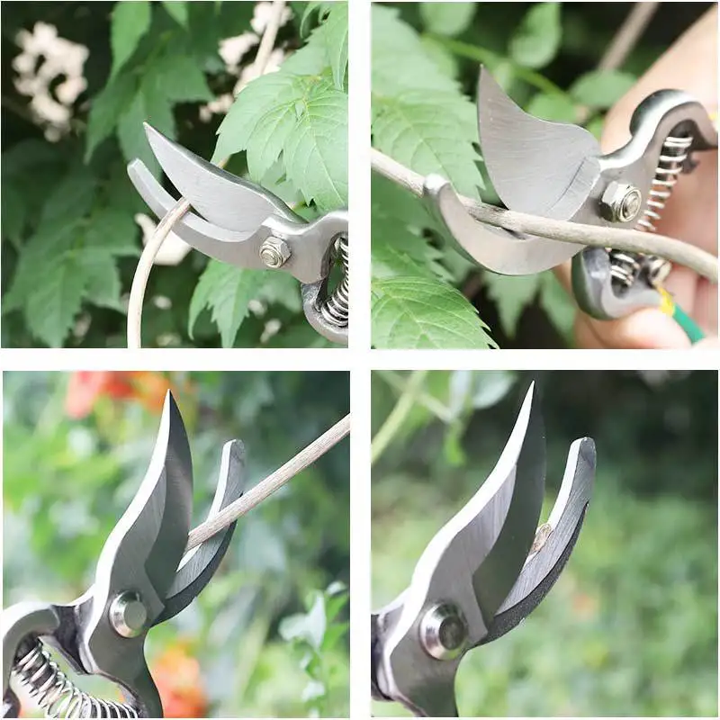 

Professional 8 inch garden Scissors Fruit Tree Pruning Shears Bonsai Pruners Grafting Cutter garden tools garden pruners