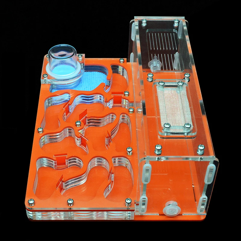 Новинка DIY акриловая плоская муравьиная ферма большое Муравьиное гнездо с площадью кормления муравьиный дом муравьиный Муравей мастерская несколько цветов 15*20*7,5 см