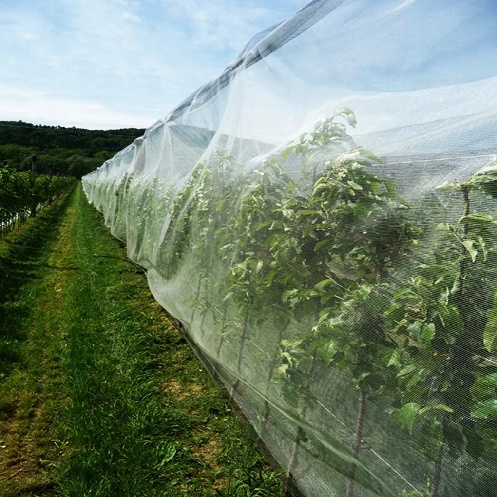В виде садовых овощей сеткой цветочных растений Уход Защита сети птица насекомых